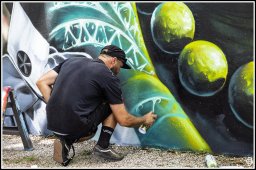chambery - street art -78